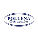 Pollena