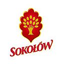 Sokołów