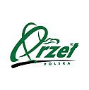 Orzeł