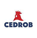 Cedrób